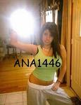 ana1446