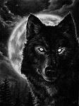 WolfGraushera_DY