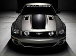 Mustang_s