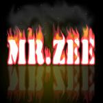 its_MrZee