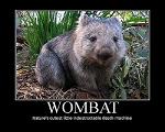 Wombat_57