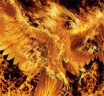 Phoenixofashes