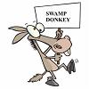 swampdonkey20