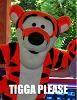 tiggerdn