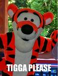 tiggerdn