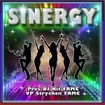 SINERGY_DT