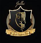 Galloi_profile