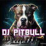 DJ_PiTBuLL_DES