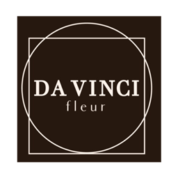 DA_ViNCi_DSG