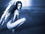 _Dark_Angel_