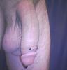 Pierced_Dick