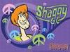 shaggy1393