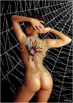 Kspider